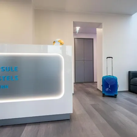 Capsule * تالين